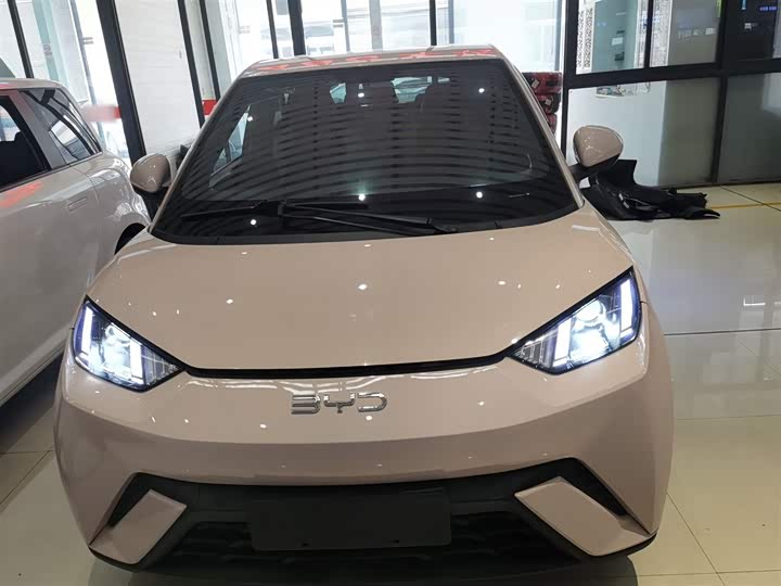 Фото 3 - BYD Seagull