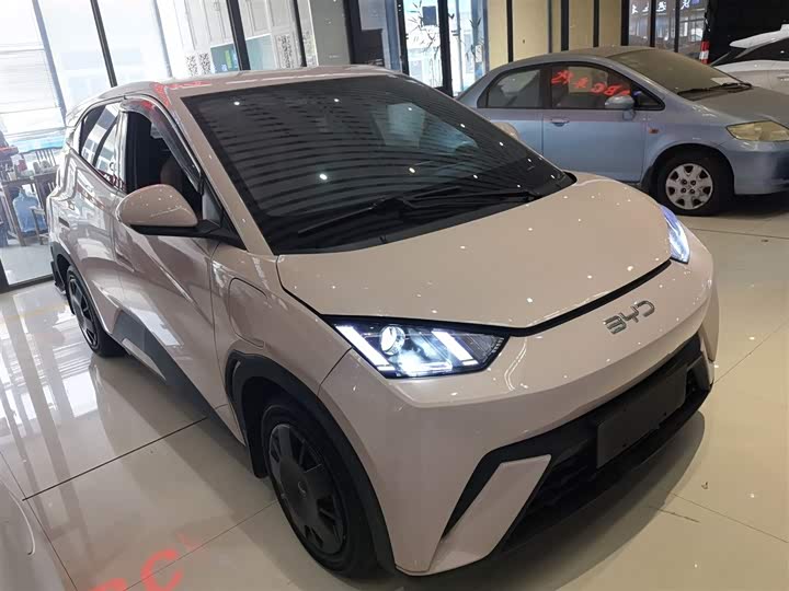 Фото 4 - BYD Seagull