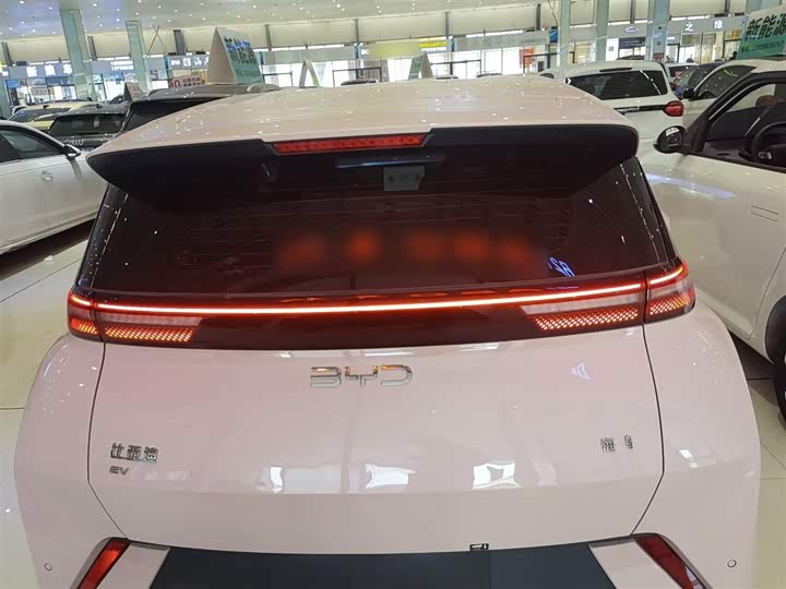 Фото 6 - BYD Seagull