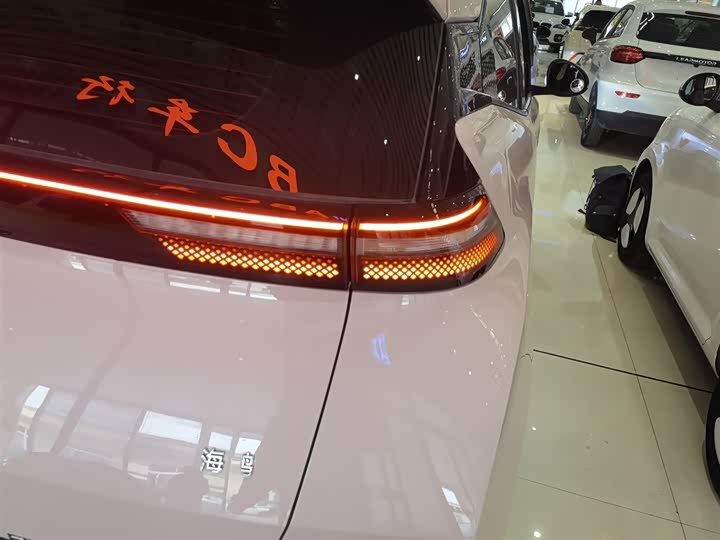 Фото 8 - BYD Seagull