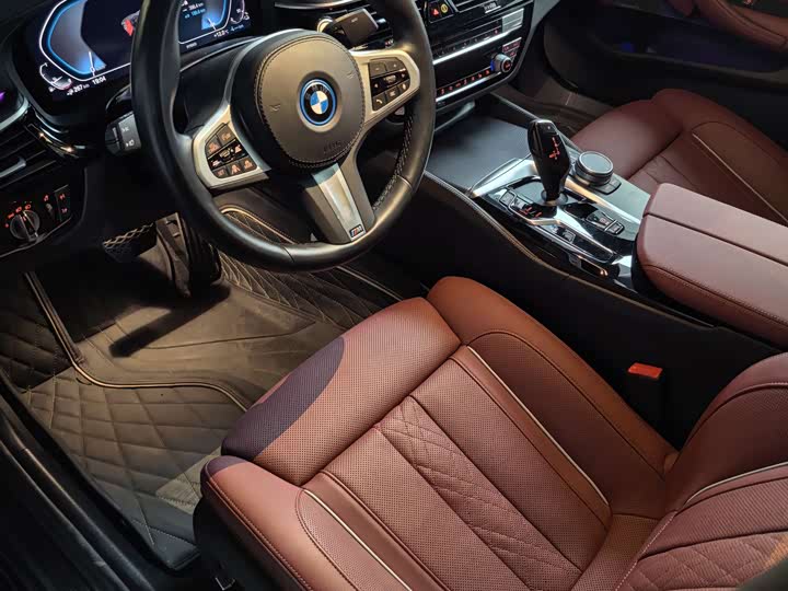 Фото 4 - BMW 5 Series Hybrid