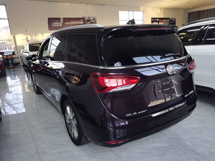 Фото 5 - Buick GL6