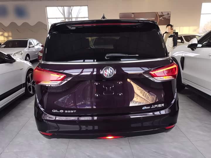 Фото 6 - Buick GL6