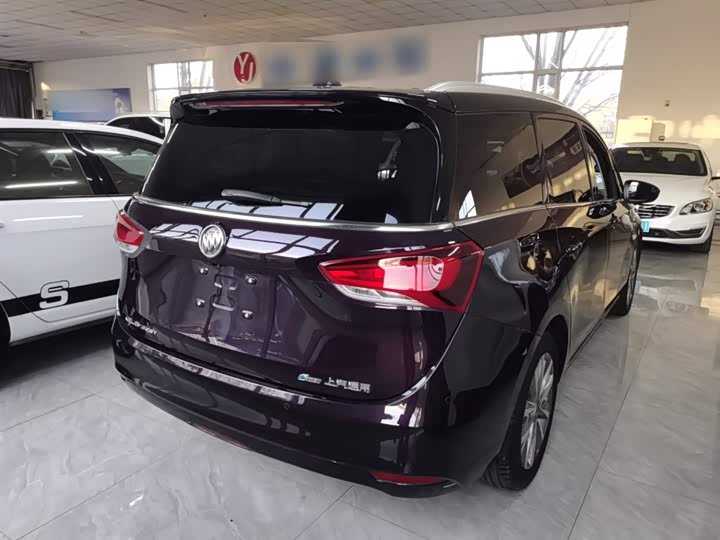 Фото 7 - Buick GL6