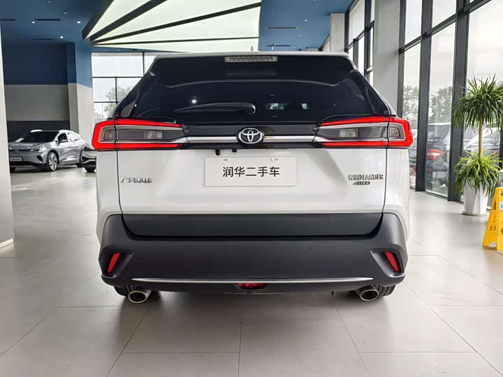 Фото 4 - Toyota Wildlander