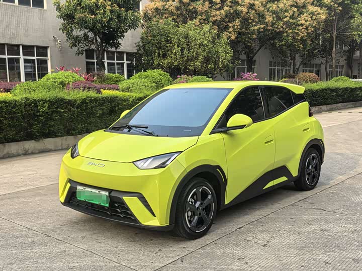 Фото 1 - BYD Seagull