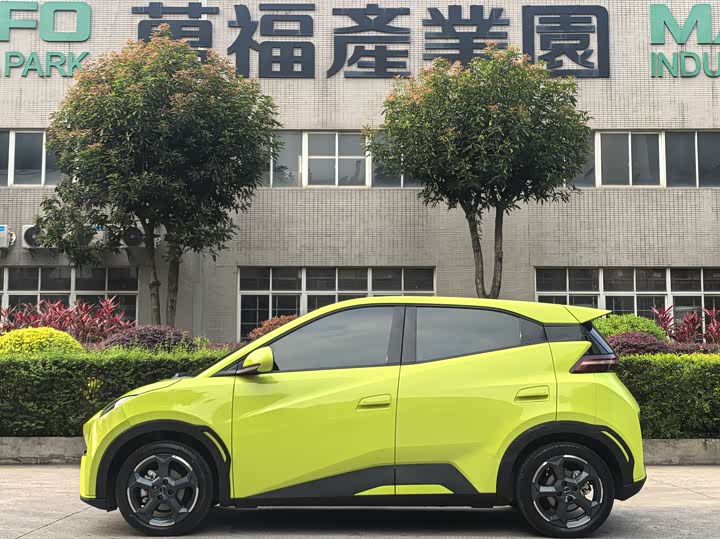 Фото 2 - BYD Seagull