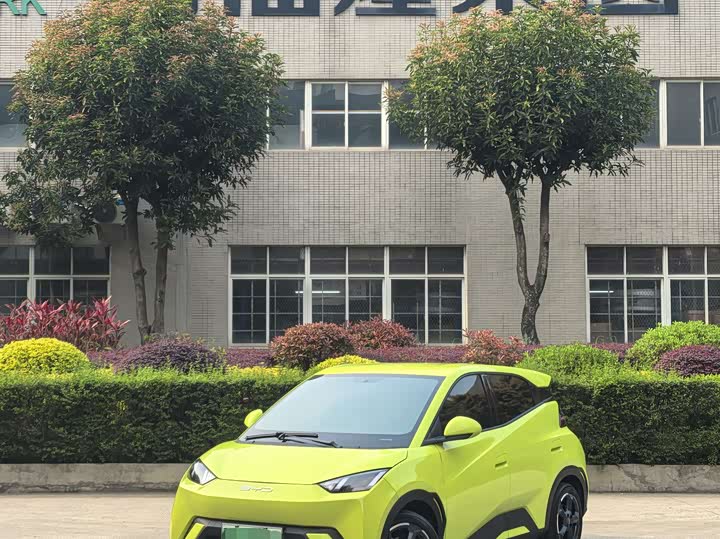 Фото 8 - BYD Seagull