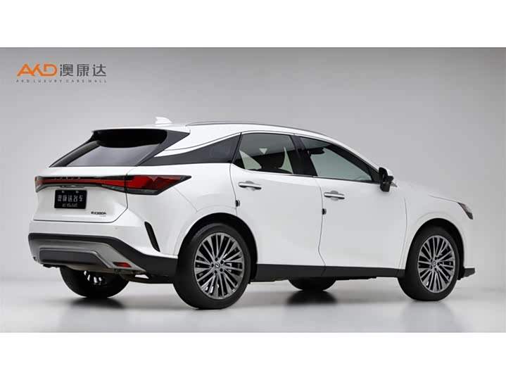 Фото 3 - Lexus RX