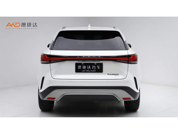 Фото 4 - Lexus RX