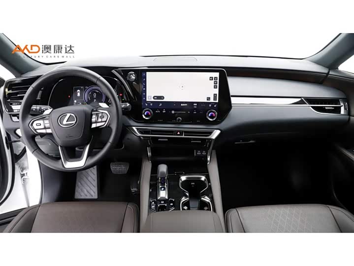 Фото 5 - Lexus RX
