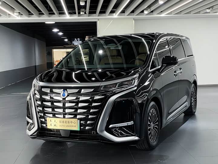 Фото 1 - Denza D9