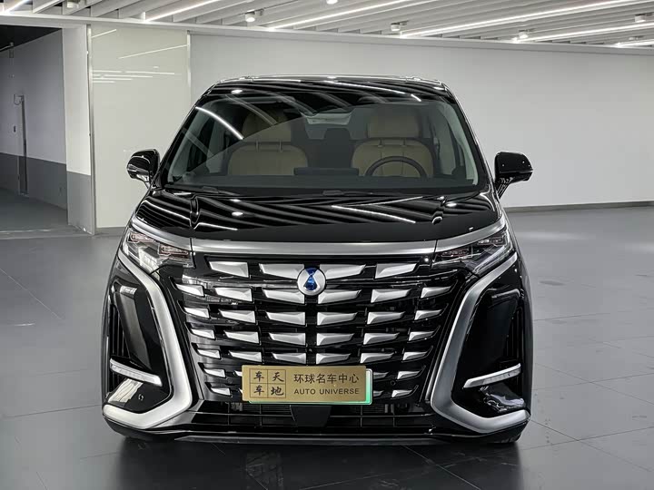 Фото 2 - Denza D9