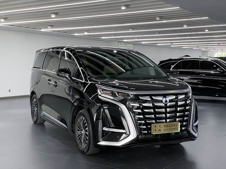 Фото 3 - Denza D9