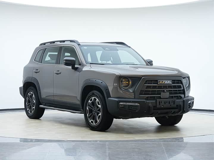 Фото 3 - Haval Dargo