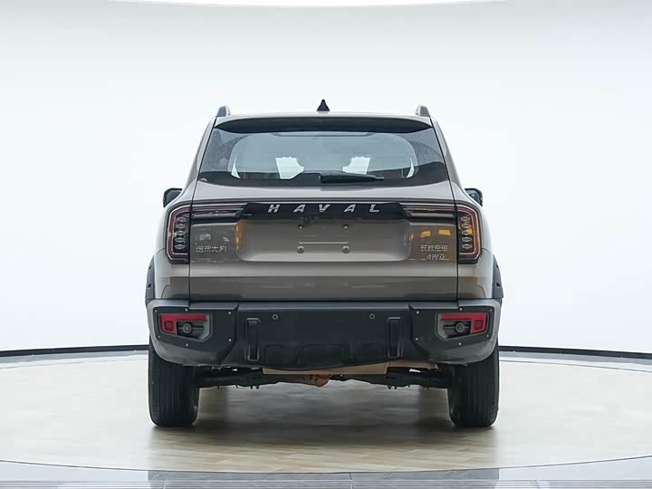 Фото 7 - Haval Dargo