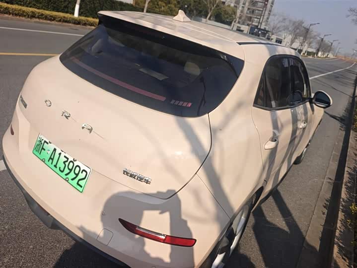 Фото 3 - Ora Good Cat (03)