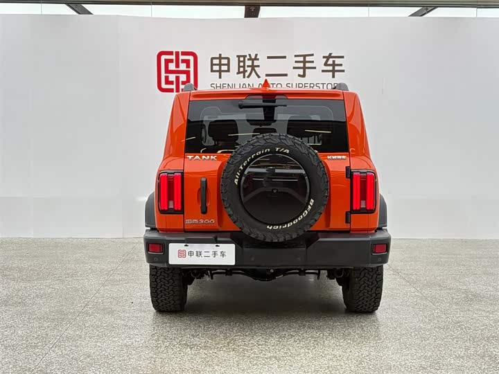 Фото 3 - Tank 300