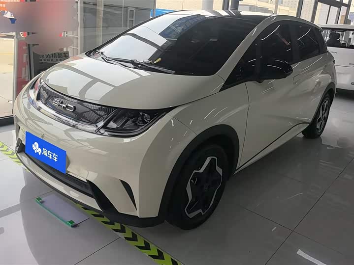 Фото 1 - BYD Dolphin