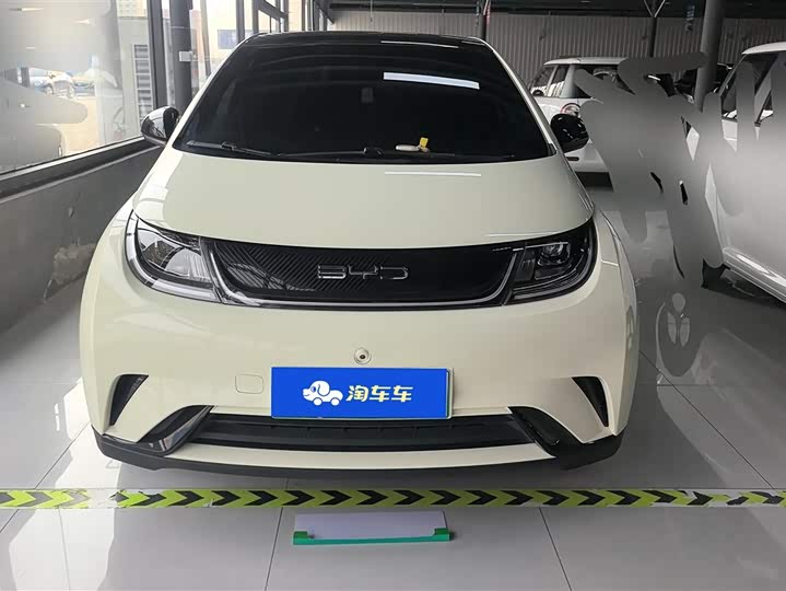 Фото 2 - BYD Dolphin