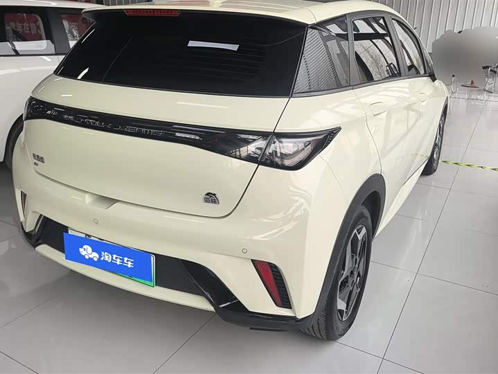 Фото 3 - BYD Dolphin