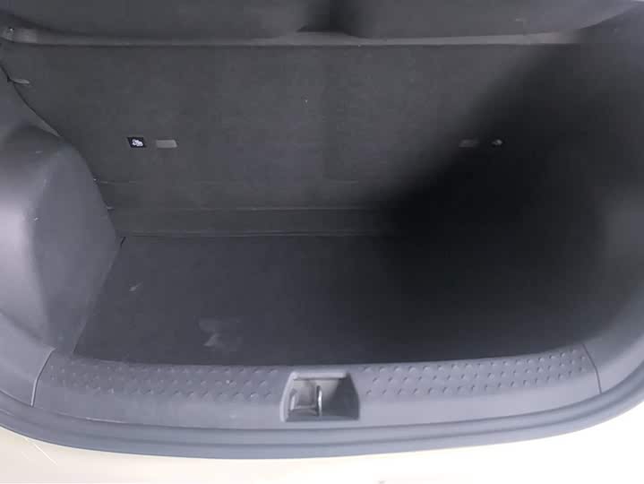 Фото 4 - BYD Dolphin