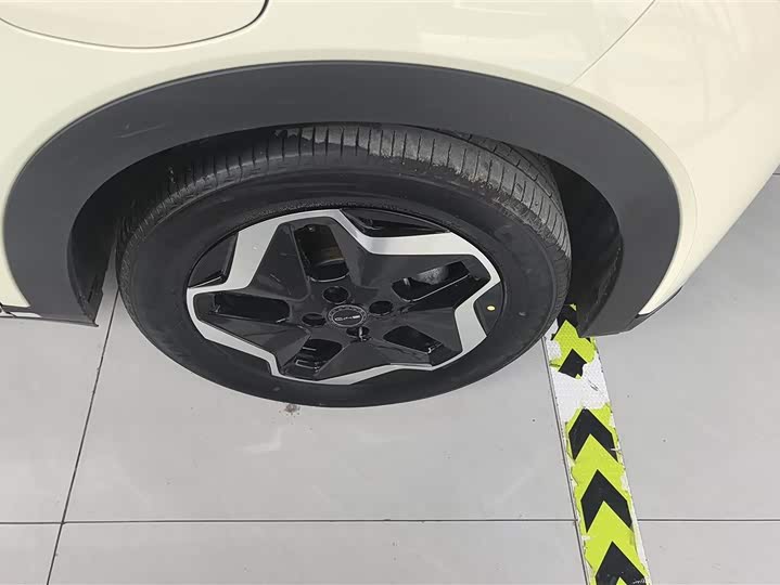 Фото 6 - BYD Dolphin