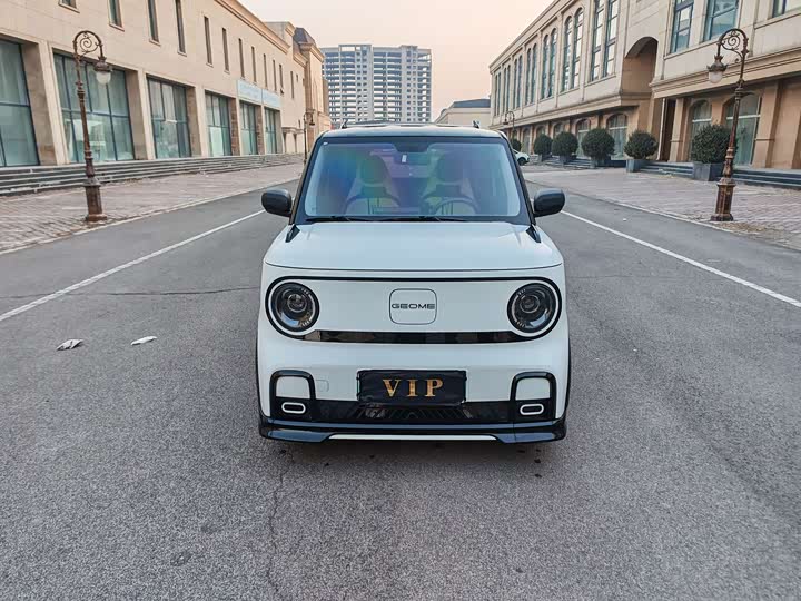 Фото 2 - Geely Galaxy Panda Mini