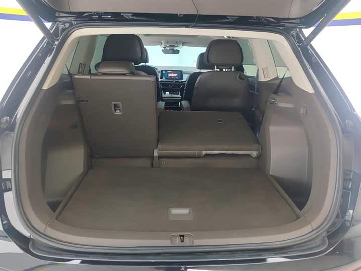 Фото 4 - Volkswagen Viloran