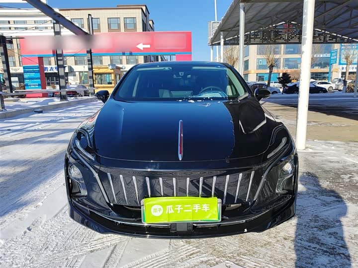 Фото 3 - Hongqi E-QM5