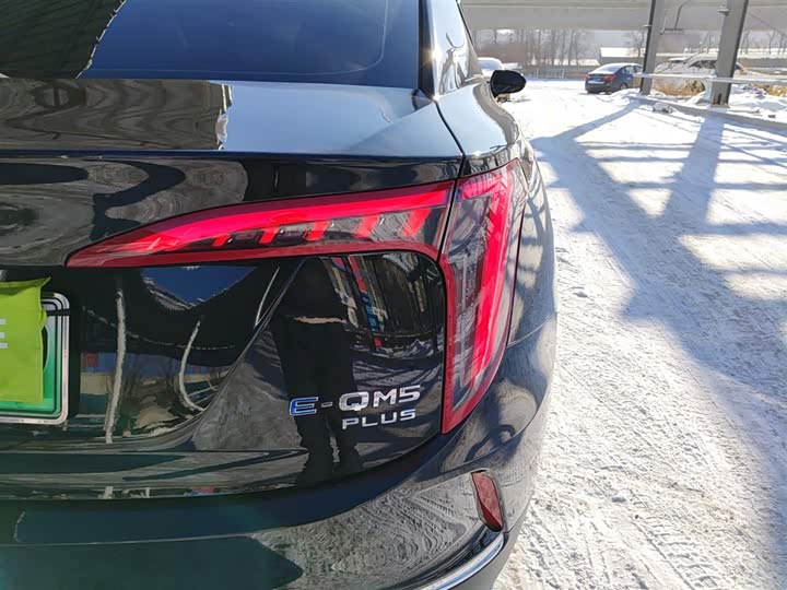 Фото 8 - Hongqi E-QM5