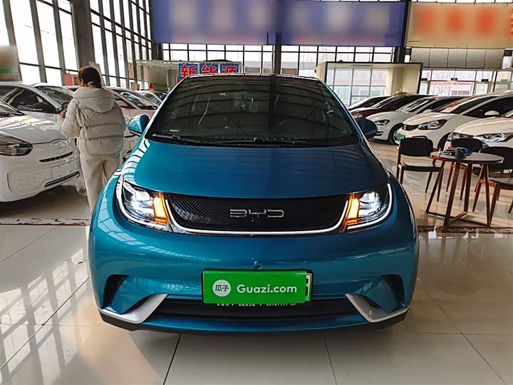 Фото 3 - BYD Dolphin