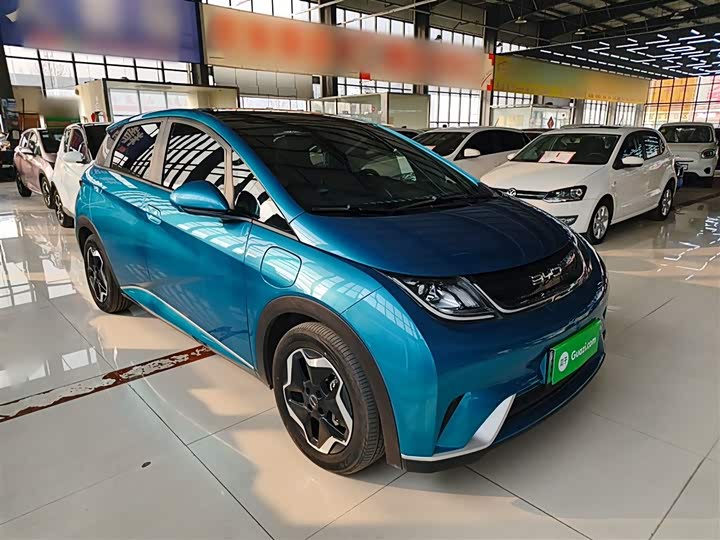 Фото 4 - BYD Dolphin