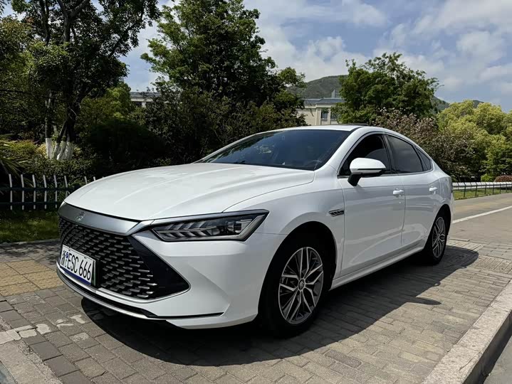 Фото 1 - BYD Qin Plus