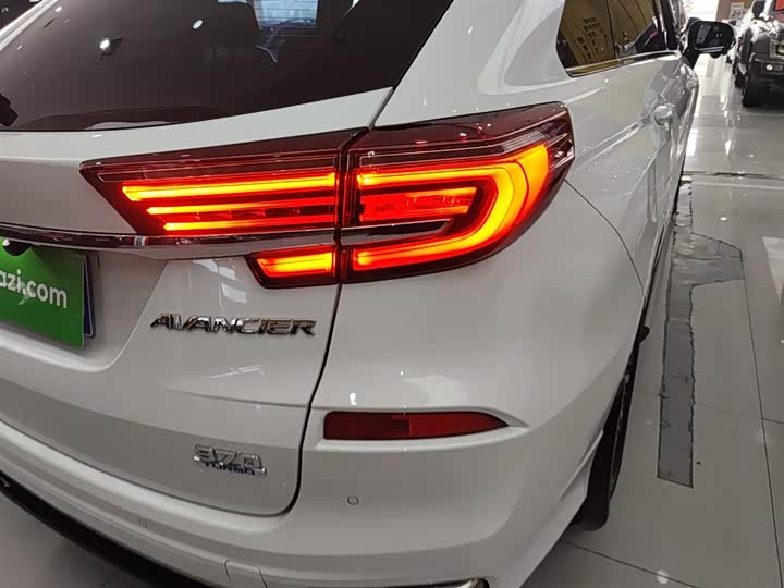 Фото 8 - Honda Avancier