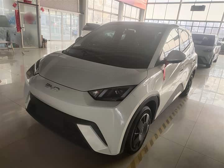 Фото 1 - BYD Seagull