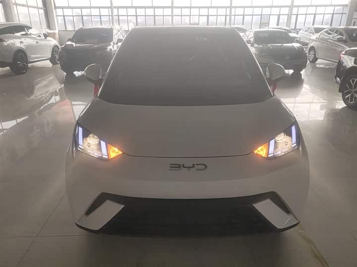 Фото 3 - BYD Seagull