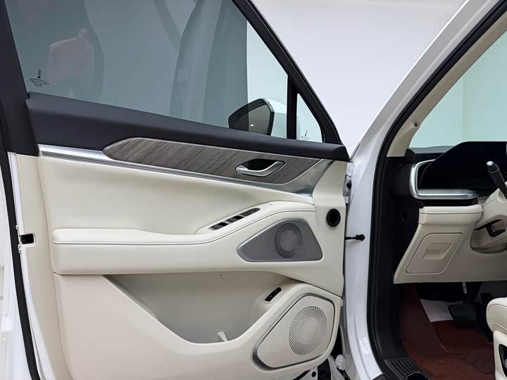 Фото 6 - Wey Lanshan