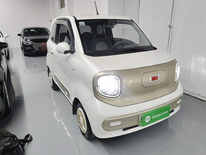 Фото 4 - Bestune Pony