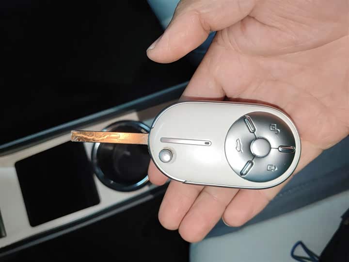 Фото 9 - Bestune Pony