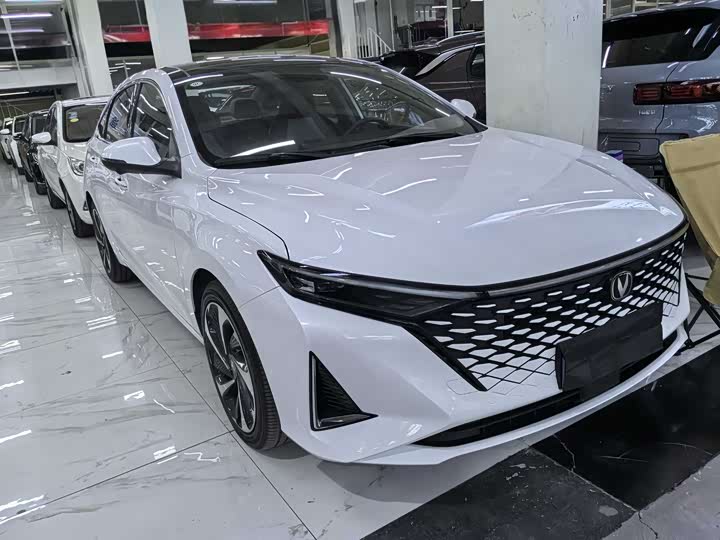 Фото 3 - Changan Raeton Plus