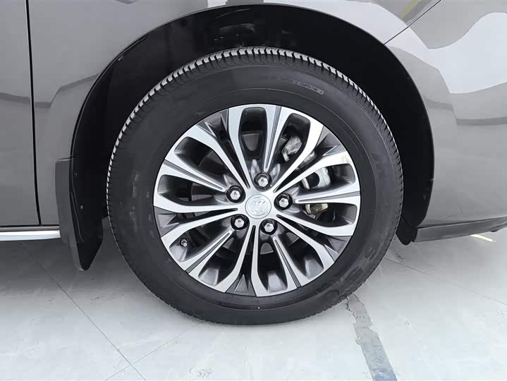 Фото 6 - Buick GL8 ES