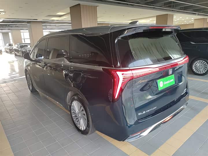 Фото 5 - Buick GL8 Century