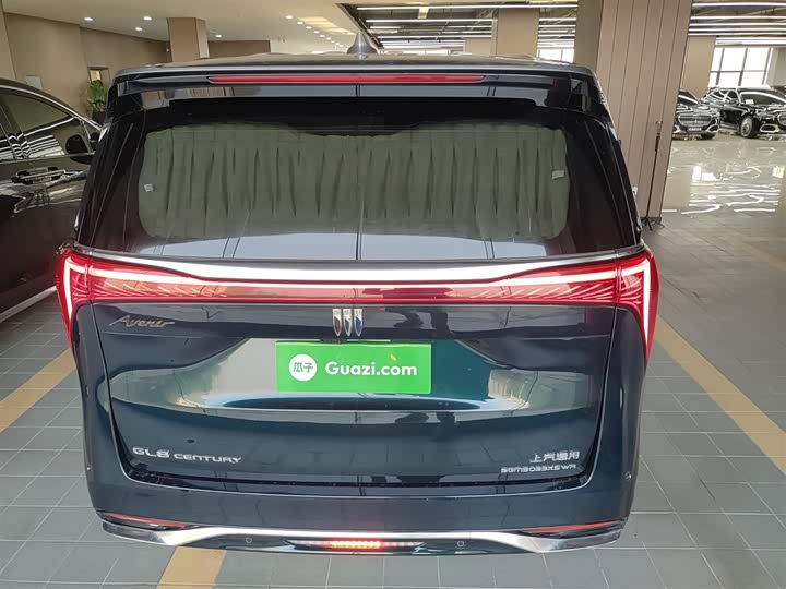 Фото 6 - Buick GL8 Century