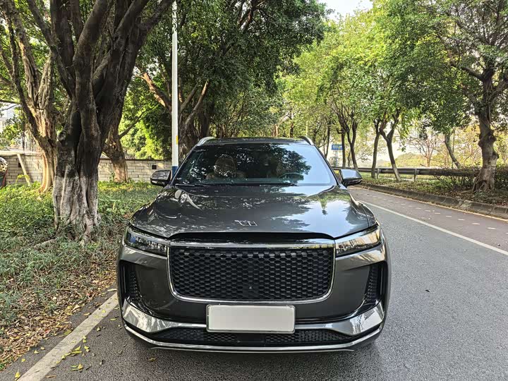 Фото 2 - LiXiang One