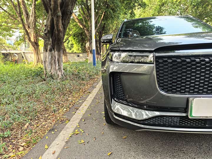 Фото 3 - LiXiang One