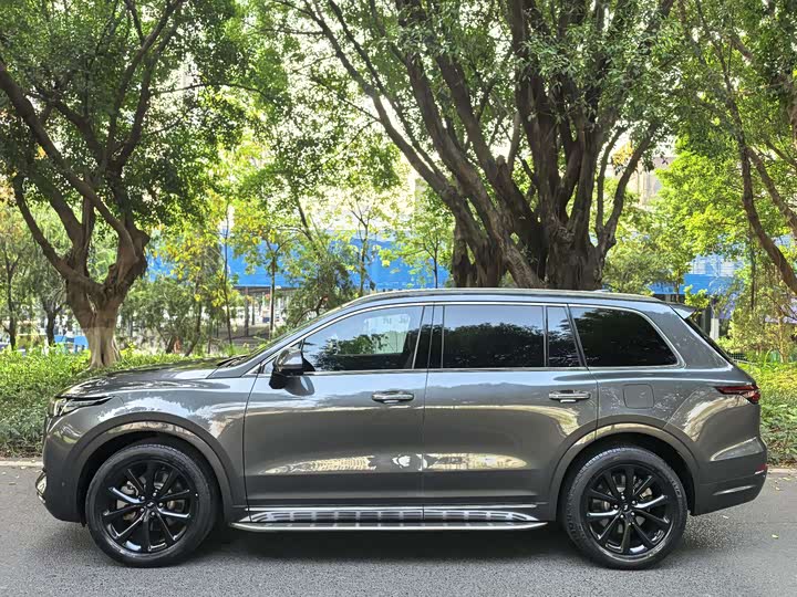 Фото 4 - LiXiang One