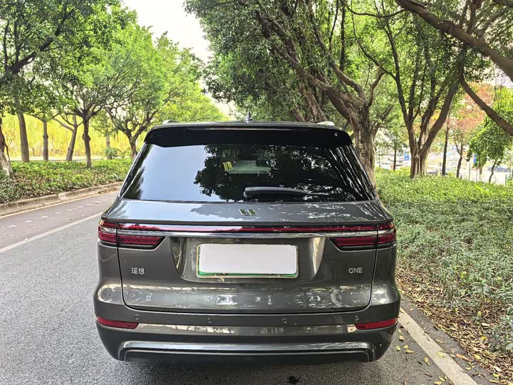 Фото 7 - LiXiang One