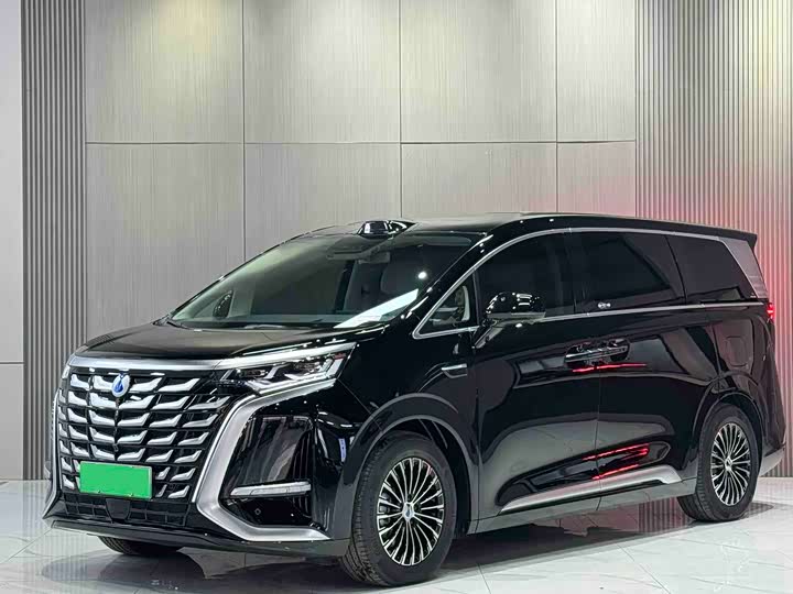 Фото 1 - Denza D9