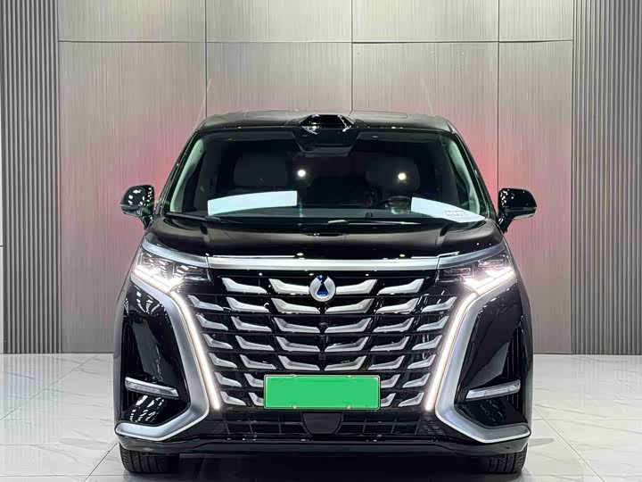 Фото 2 - Denza D9